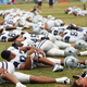 Image for article titled NFL Training-Camp Survivors Too Traumatized To Talk About Experience